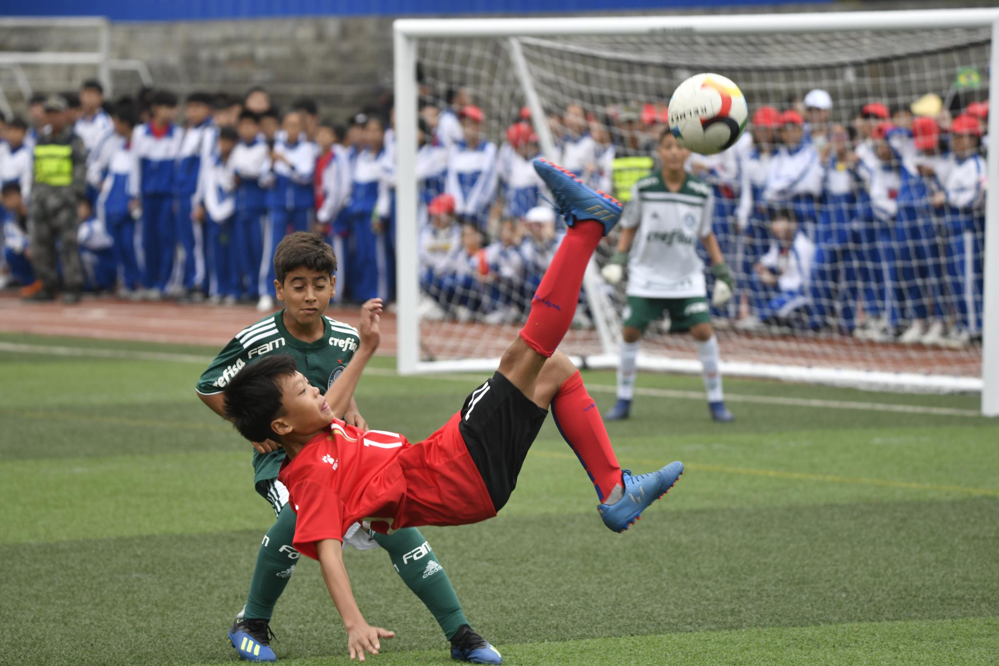 西雅图海湾者体能训练升级，备战帕尔梅拉斯半决赛