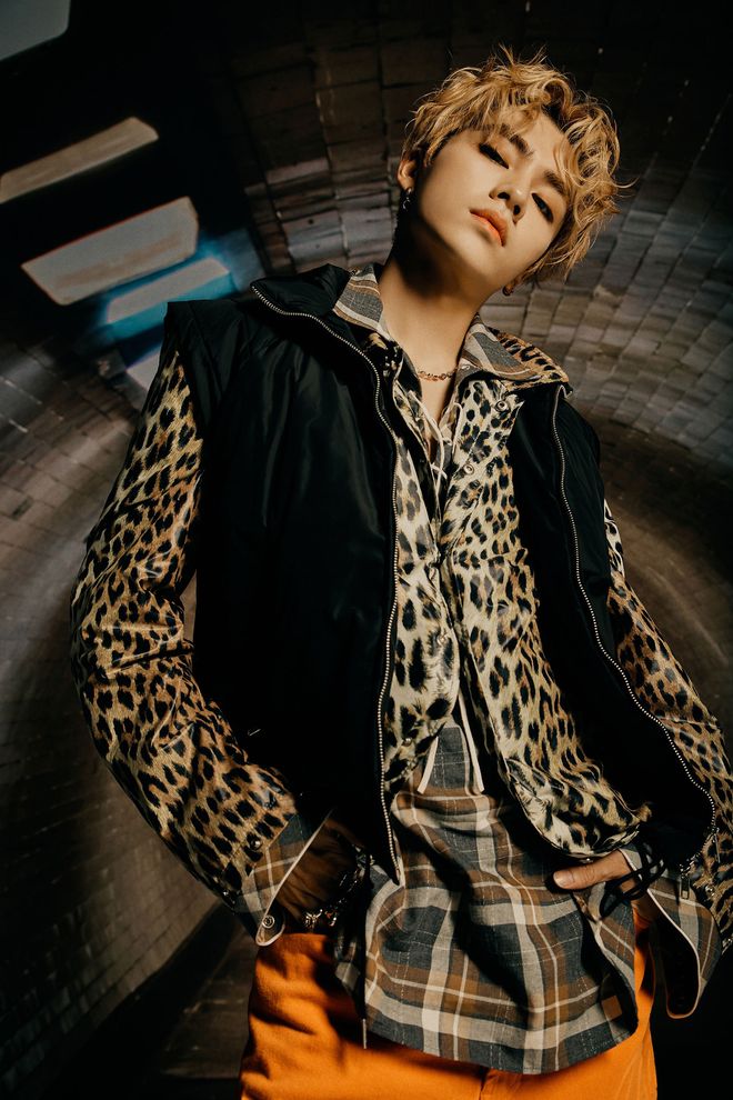 米兰体育官网入口-胜负之间：雄鹿和猛虎之间的角逐引人期待的简单介绍