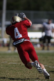 米兰体育入口-拜仁慕尼黑完胜多特蒙德，升至德甲榜首